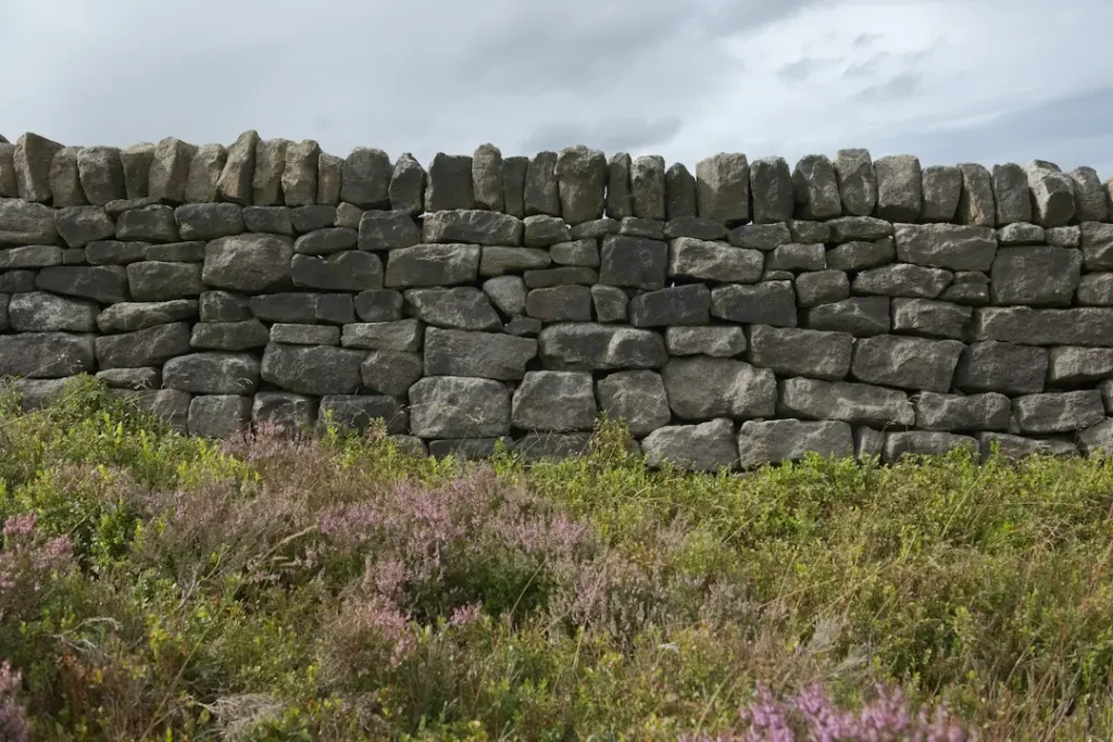 a stone wall with grass and flowers